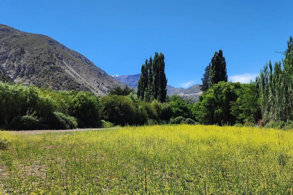 °*EXCLUSIVA TINYCABIN EN CORDILLERA DE LOS ANDES SAN GABRIEL (Chile ...